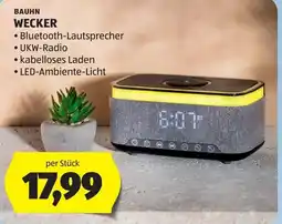 Hofer Bauhn Wecker Angebot