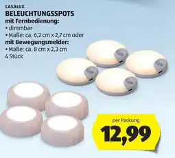 Hofer Casalux Beleuchtungsspot Angebot