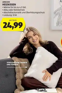 Hofer Ambiano Heizkissen Angebot