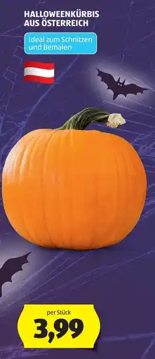 Hofer Halloweekürbis aus Österreich Angebot