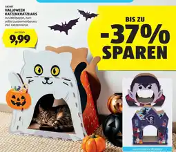 Hofer Cachet Halloween Katzenkratzhaus Angebot