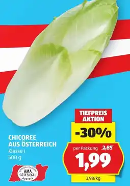 Hofer Chicoree aus Österreich Angebot