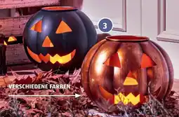 Hofer Home creation led-kürbislaterne Angebot