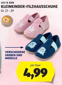 Hofer Lily & Dan Kleinkinder-Filzhausschuhe Angebot