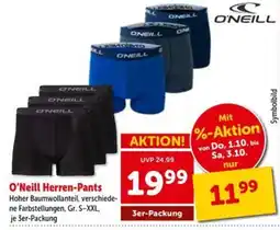 Interspar O'Neill Herren-Pants Angebot