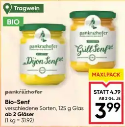 Maximarkt Bio-Senf pankrazhofer Angebot