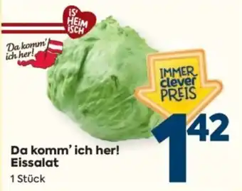 Billa Eissalat Angebot