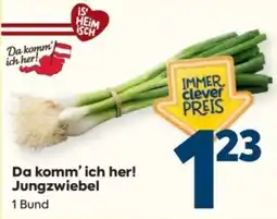 Billa Jungzwiebel Angebot