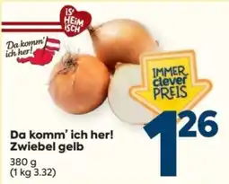Billa Zwiebel gelb Angebot