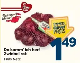 Billa Zwiebel rot Angebot
