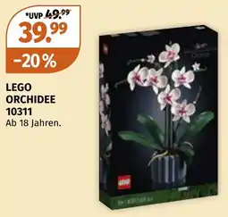 Müller LEGO Orchidee Angebot