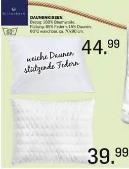 Möbel Ludwig DAUNENKISSEN, billerbeck Angebot