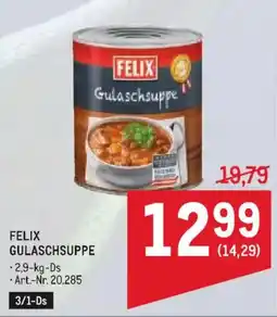 Metro Felix Gulaschsuppe Angebot