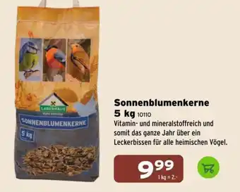 Lagerhaus Sonnenblumenkerne