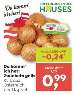 ADEG Zwiebeln gelb Angebot