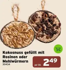 Salzburger Lagerhaus Kokosnuss gefüllt mit Rosinen oder Mehlwürmern Angebot
