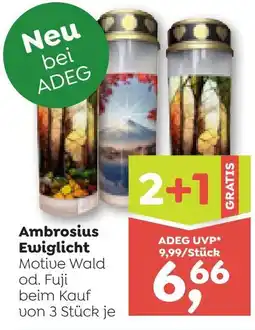 ADEG Ambrosius Ewiglicht Angebot