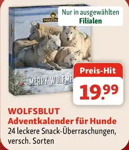 Fressnapf Wolfsblut Adventkalender für Hunde Angebot