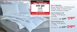 Matratzen Concord Daunendecke Angebot