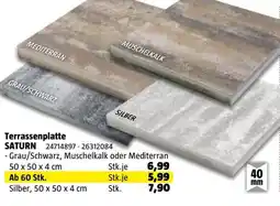 Bauhaus Terrassenplatte SATURN Silber Angebot