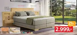 XXXLutz Boxspringbett Angebot