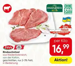 SPAR Gourmet TANN Rindsschnitzel Angebot