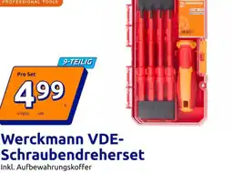 Action Solar-Leuchtröhre Angebot