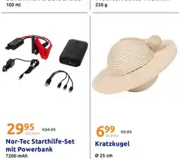 Action Duracell Batterien Angebot