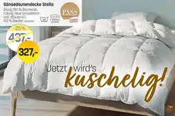Reiter Gänse daunendecke Stella Angebot
