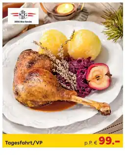 Billa Reisen DDSG Blue Danube Tagesfahrt/VP Angebot