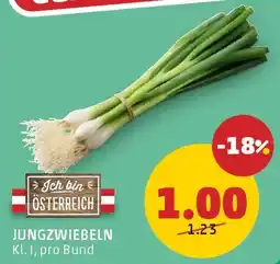 PENNY Jungzwiebeln Angebot