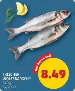 PENNY Frischer wolfbarsch Angebot