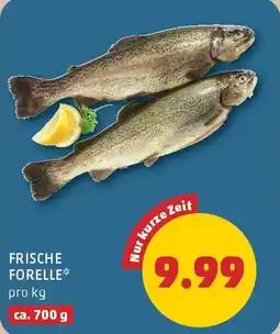 PENNY Frische forelle Angebot