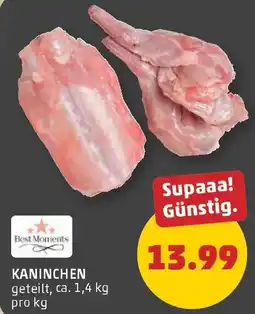 PENNY Kaninchen Angebot