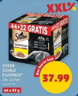 PENNY Sheba schale pluspack Angebot