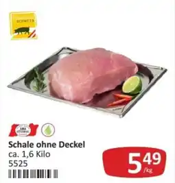 Kastner Schale ohne Deckel Angebot