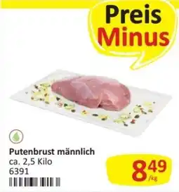 Kastner Putenbrust männlich Angebot