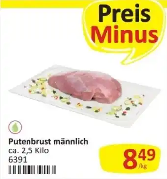 Putenbrust männlich