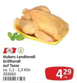 Kastner Hubers Landhendl Grillhendl auf Tasse Angebot