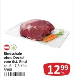 Kastner Rindschale ohne Deckel vom öst. Rind Angebot