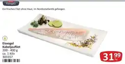 Kastner Eisvogel Kabeljaufilet Angebot