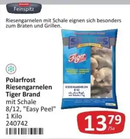 Kastner Polarfrost Riesengarnelen Tiger Brand mit Schale Angebot