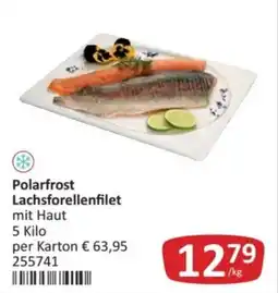 Kastner Polarfrost Lachsforellenfilet mit Haut Angebot