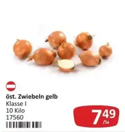 Kastner öst. Zwiebeln gelb Angebot