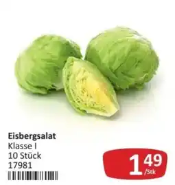 Kastner Eisbergsalat Angebot
