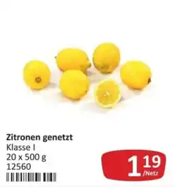 Kastner Zitronen genetzt Angebot