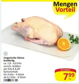 Kastner Ungarische Gänse bratfertig Angebot