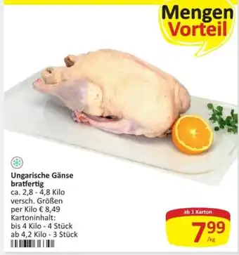 Kastner Ungarische Gänse bratfertig Angebot