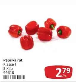 Kastner Paprika rot Angebot