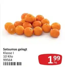 Kastner Satsumas gelegt Angebot
